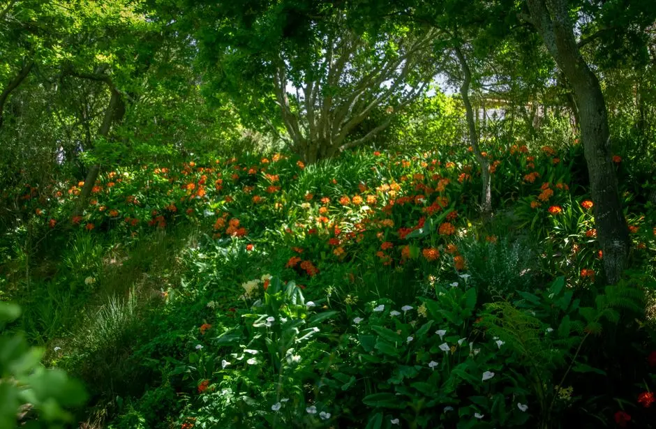Greens & Outdoors at LODHA MATUNGA, Matunga East, Mumbai