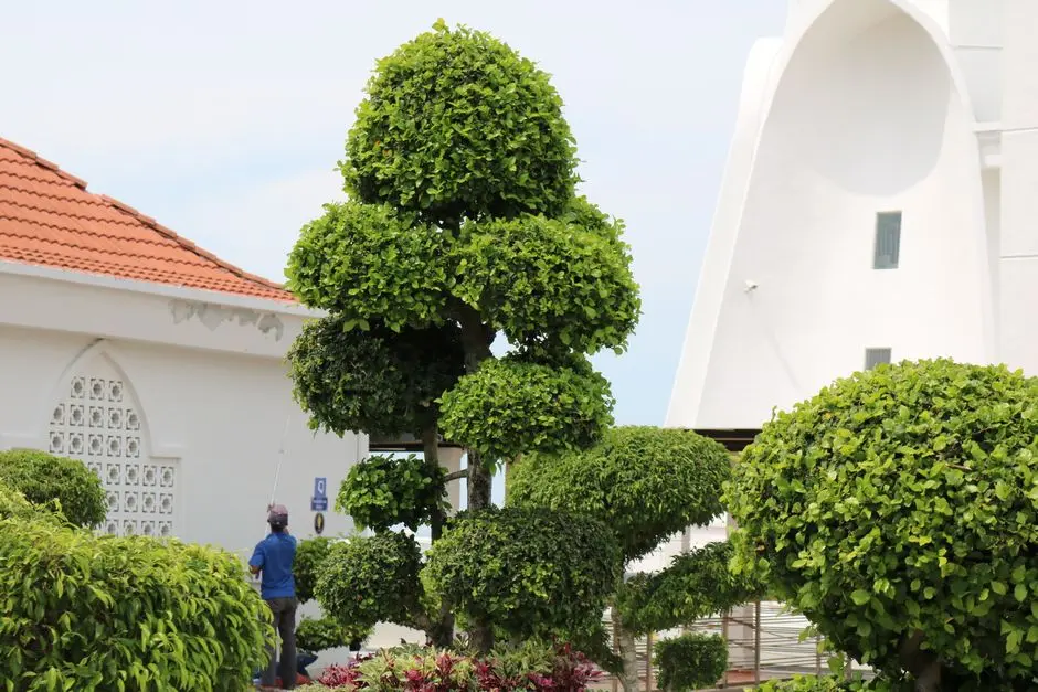 Greens & Outdoors at LODHA OLIVIA, Palava, Thane