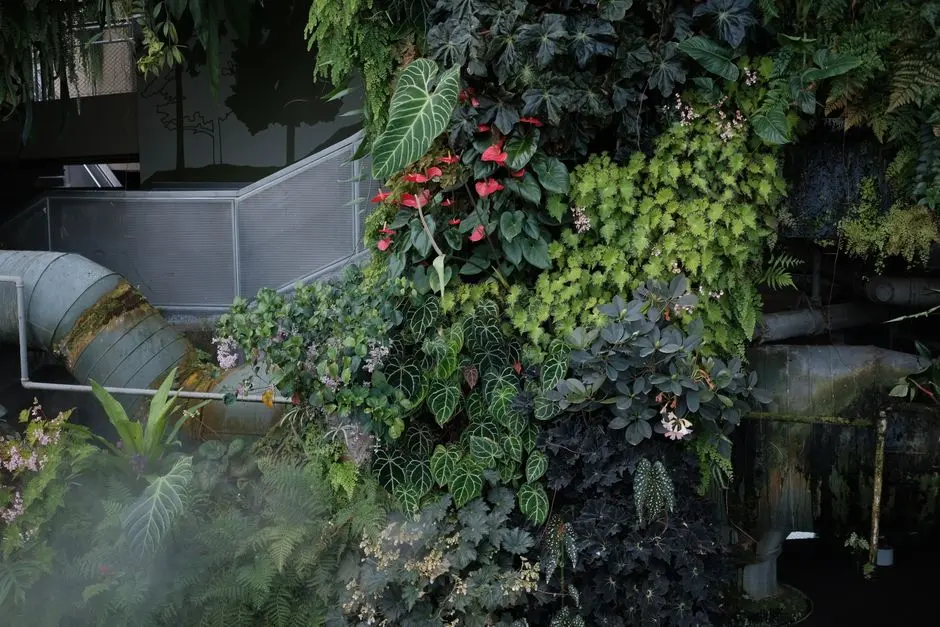 Greens & Outdoors at LODHA ELANZA, Sompura, Sarjapur Road, Bangalore