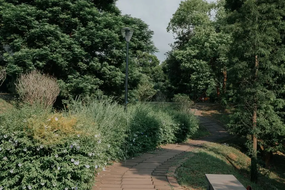 Greens & Outdoors at LODHA MAGNUS, Hinjewadi Phase 1, Pune