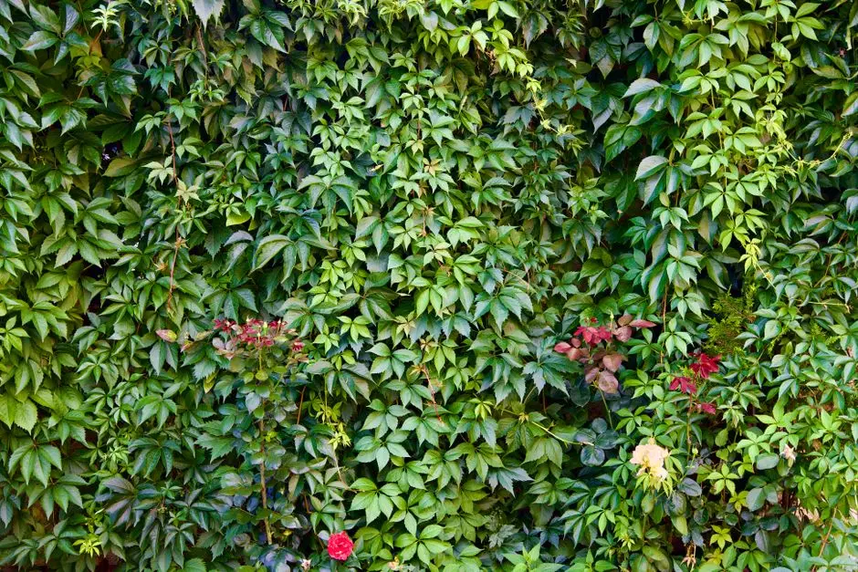 Greens & Outdoors at LODHA SIGNET, KHARADI, Pune