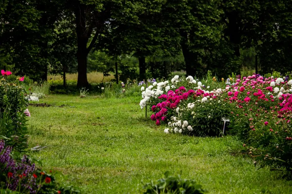 Greens & Outdoors at LODHA AVALON, Juhu, Mumbai