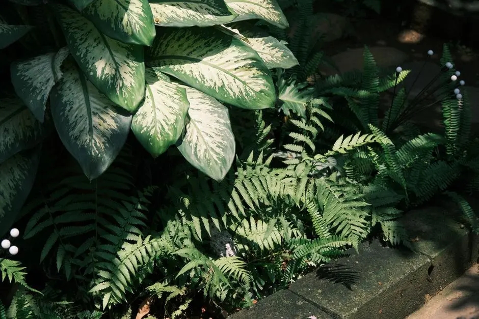 Greens & Outdoors at LODHA SEA FACE, Worli Sea Face, Mumbai