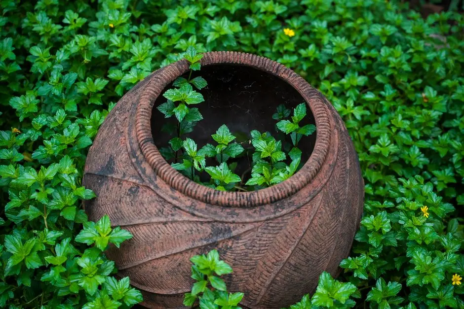 Greens & Outdoors at LODHA PROMINA, Worli, Mumbai