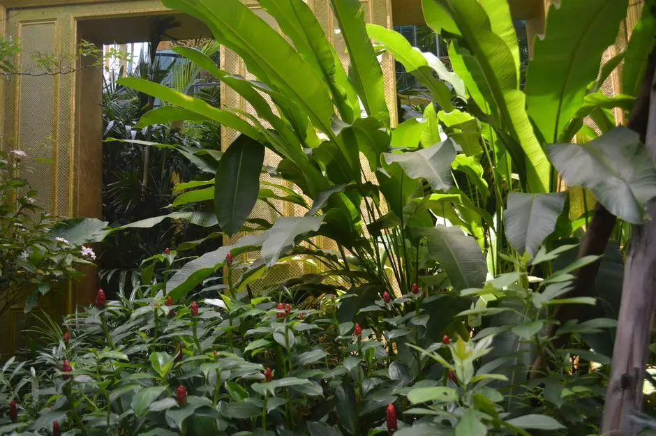 Greens & Outdoors at LODHA HAVEN, HSR Layout Extension, Bangalore