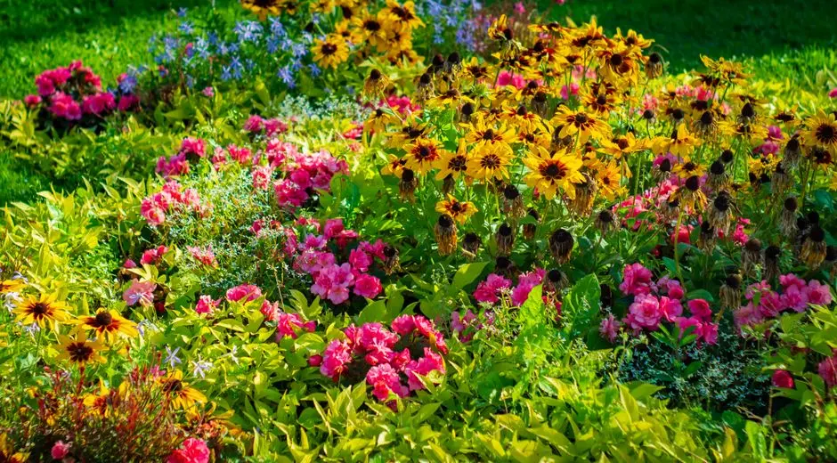 Greens & Outdoors at LODHA BELLEVUE, Mahalaxmi, Mumbai